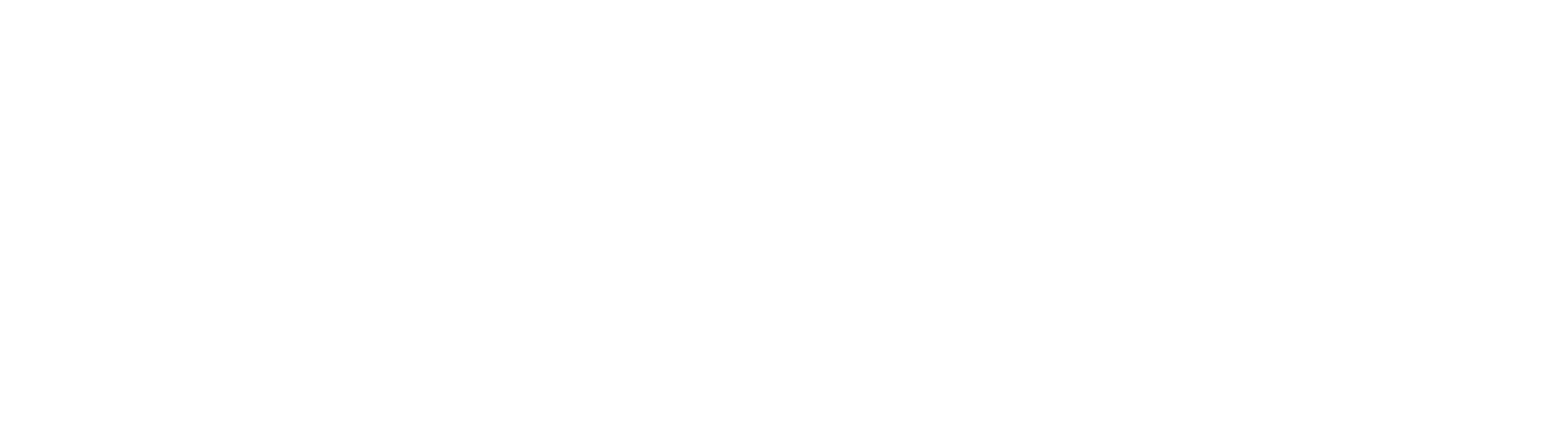 footer-logo